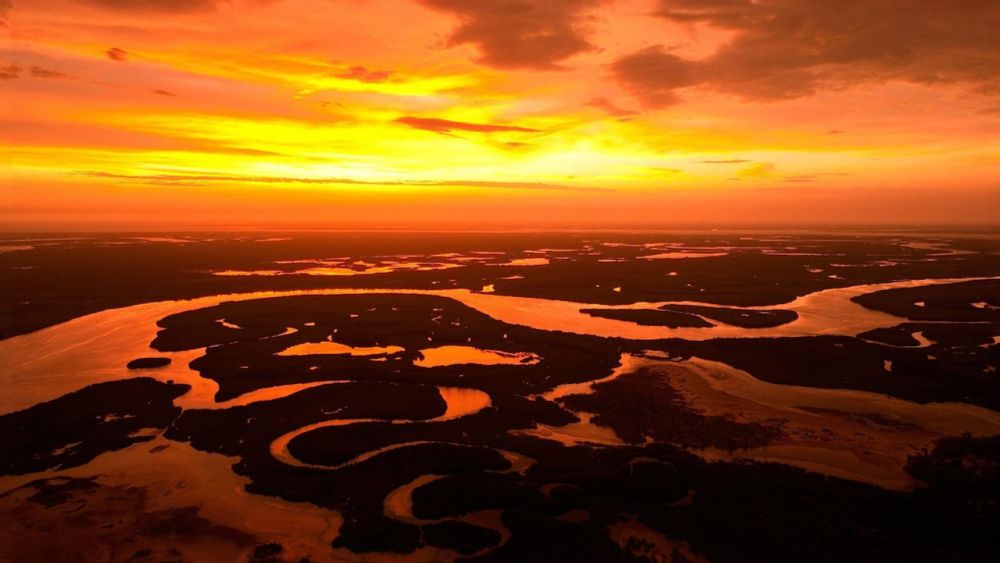 Dokumentarfilmzeit: Blue Carbon - Die Superkraft der Natur - hier anschauen