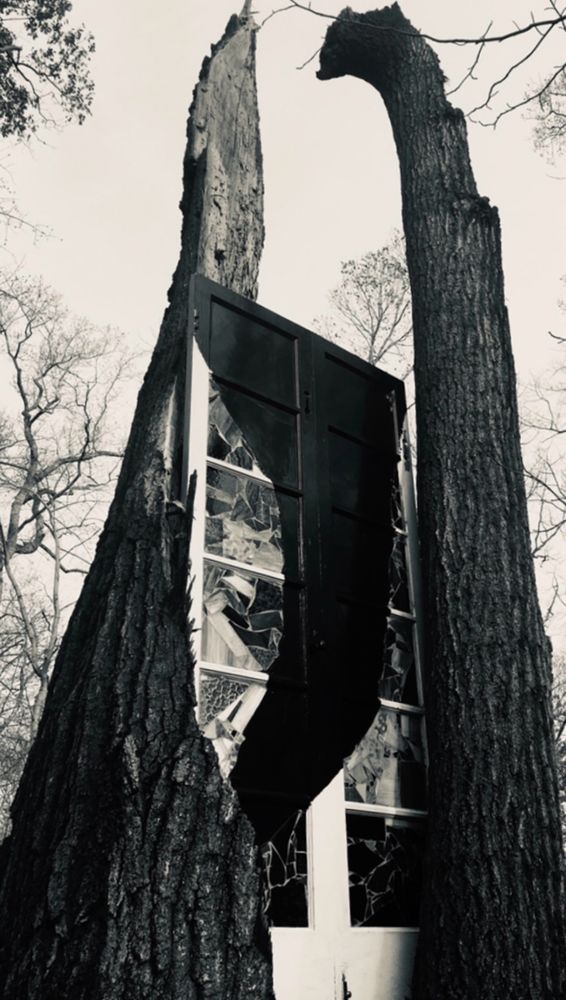 Wooden door installed into a tree, with rainbow mosaic glass in the panels and a black tornado painted atop. (B&W photo)