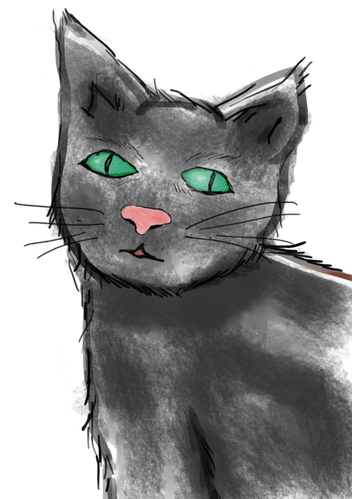 a drawn grey cat