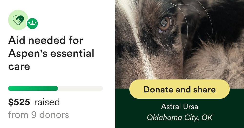 Donate to Astral and Lulus emergency requets, organized by Astral Ursa