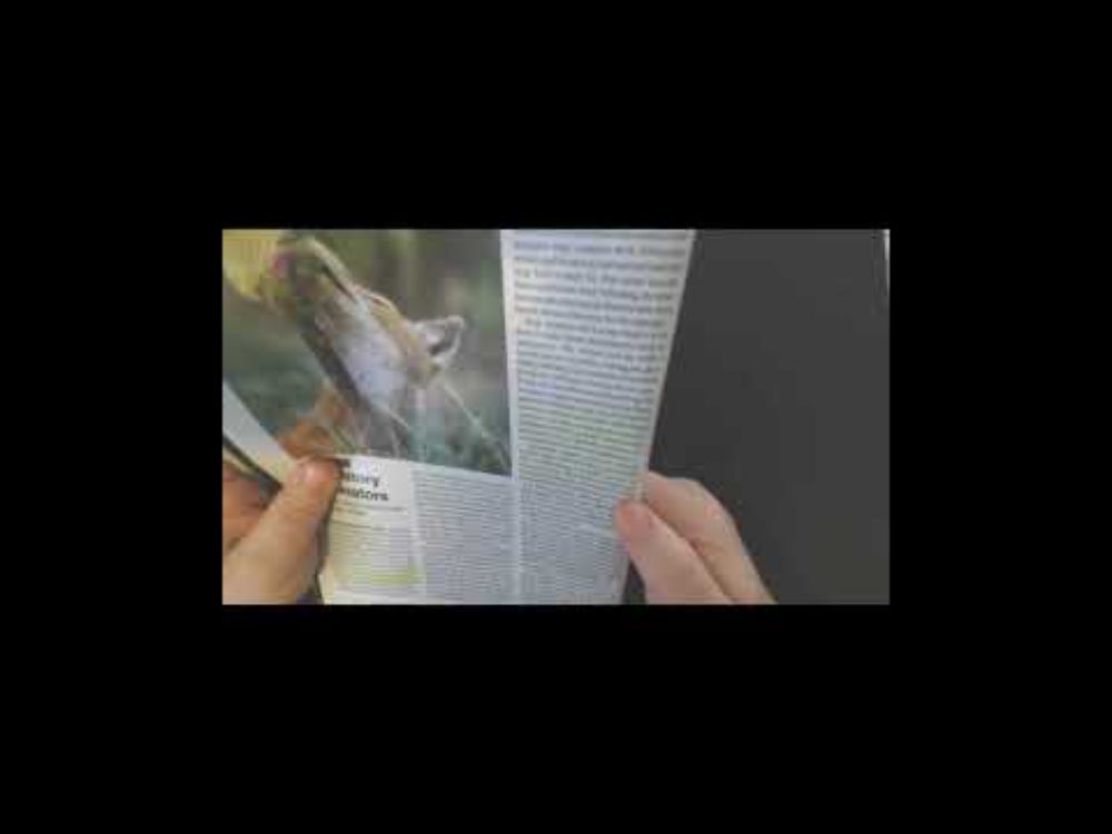 The Birds And The Bees And WOLVES? #scientificamerican #pollinators