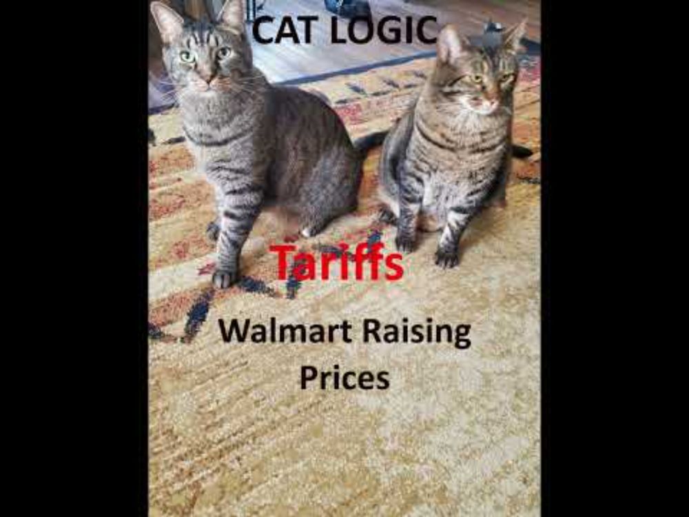 Walmart Announced Raising Prices - Tariffs #walmart #tariffs #catlogic