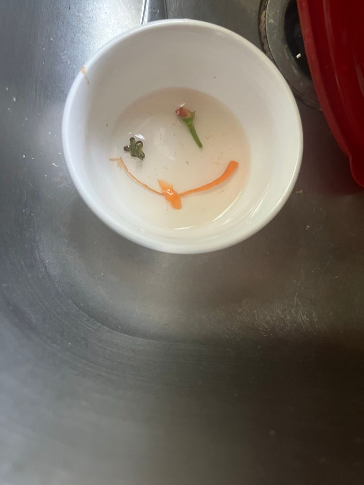 The end of a carrot, the stem of a pepper, and the leafy top of a tomato, accidentally arranged into a weird smiley face.