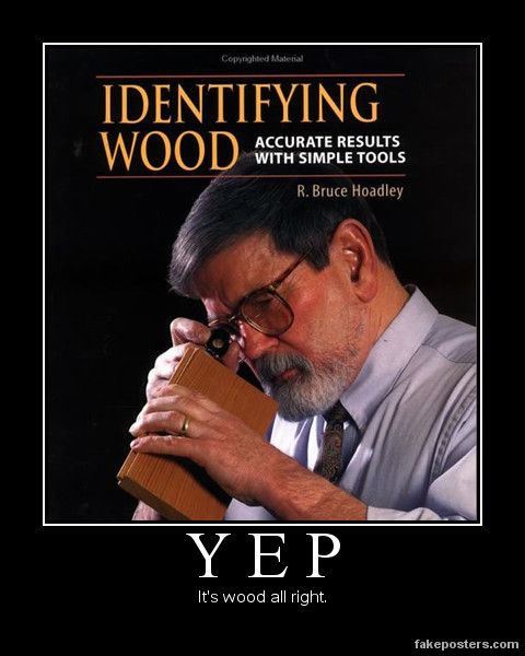 Picture of a textbook cover called "Identifying Wood: Accurate Results With Simple Tools". The cover has a man looking closely at a block of wood through a scope. The caption says, "Yep! It's wood all right!"