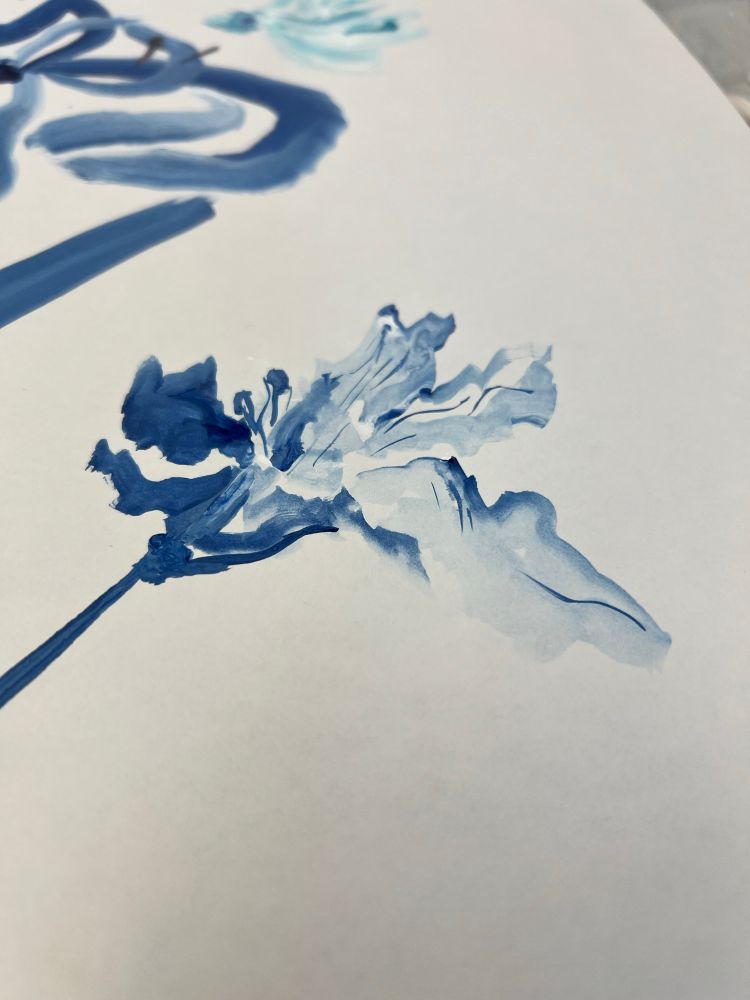 Quick flow study of a flower