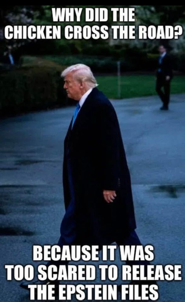 A picture of Little Donnie Krasnov walking with text above that reads: 
"Why did the chicken cross the road?"
And text below that reads: 
"Because it was too scared to release the Epstein files."