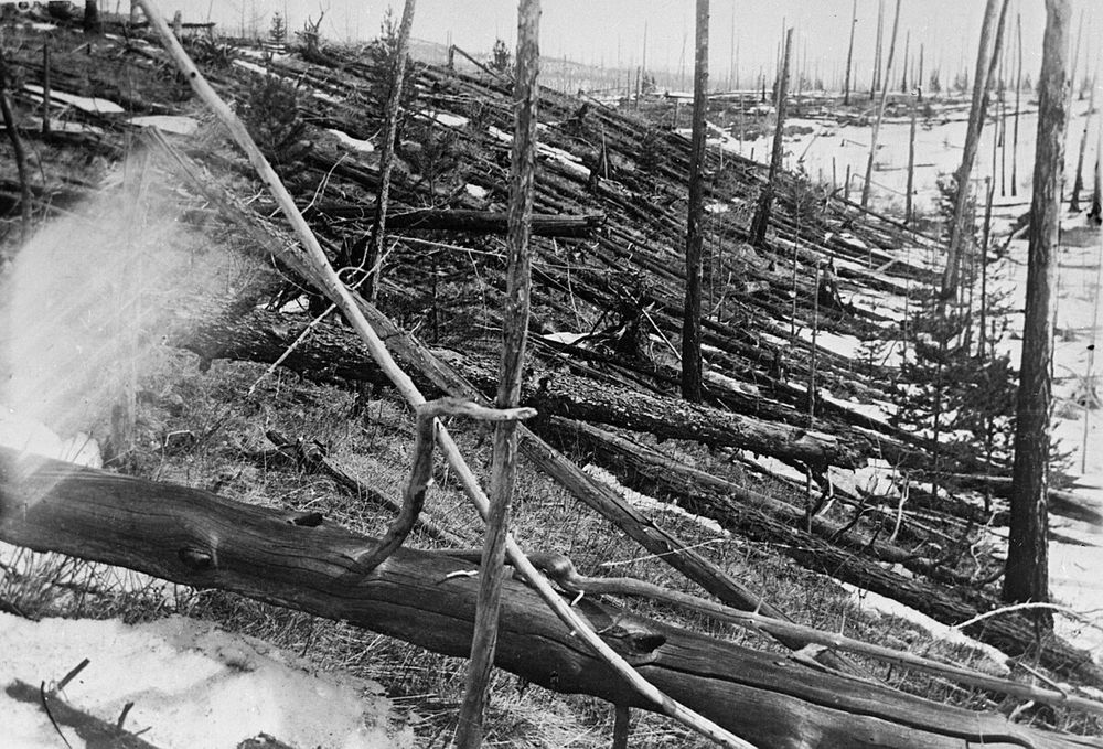 Photo of hundreds of trees blown over and burnt by the Tunguska Event, a large explosion in Russia in 1908 that is thought to have been a meteor air burst or an asteroid striking the ground.