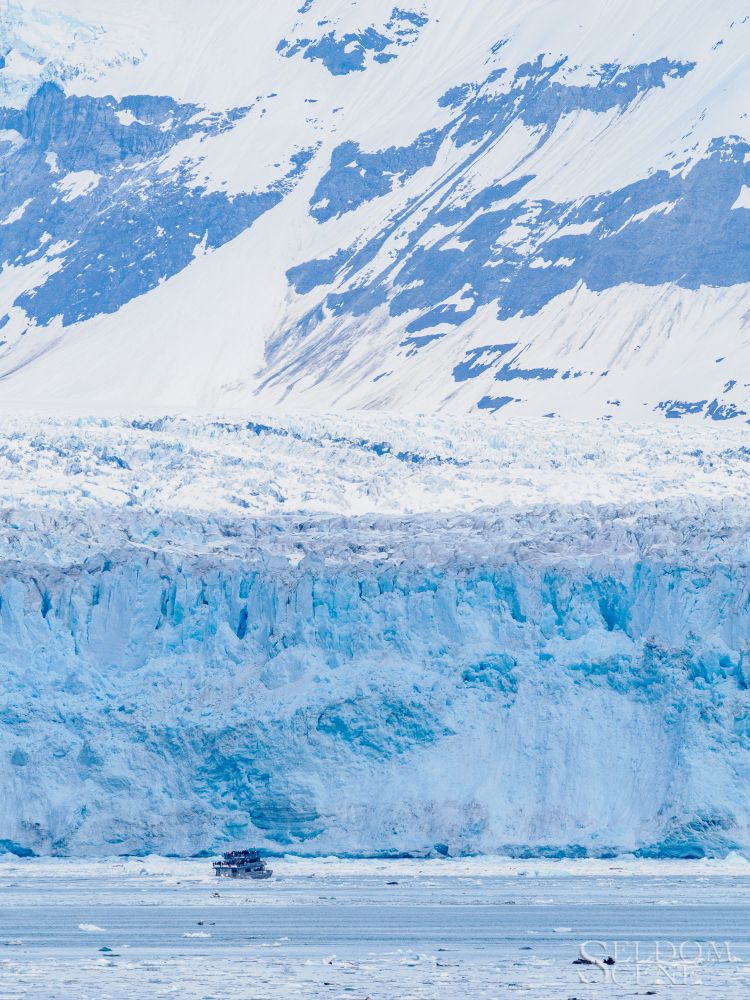 A substantial tour boat is dwarfed by the thickness of the glacier it is approaching.
