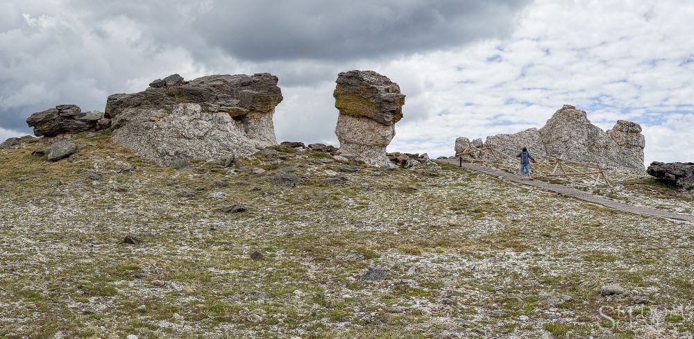 The mushroom rocks, as seen from the Tundra Communities Trail that provides access to them.