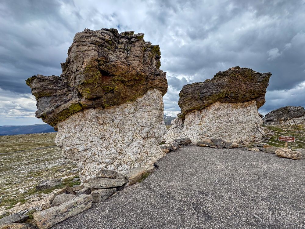 Two large, vaguely mushroom-shaped boulders. From the plaque:

"The rocks in these odd formations were born of fire and water. The dark-colored schist was originally sand, silt, and clay at the bottom of a long-departed sea. Molten magma from deep in the earth invaded the schist and gradually cooled into the lighter-colored granite. Mushroom shapes were formed when the granite stems eroded quicker than the schist caps."