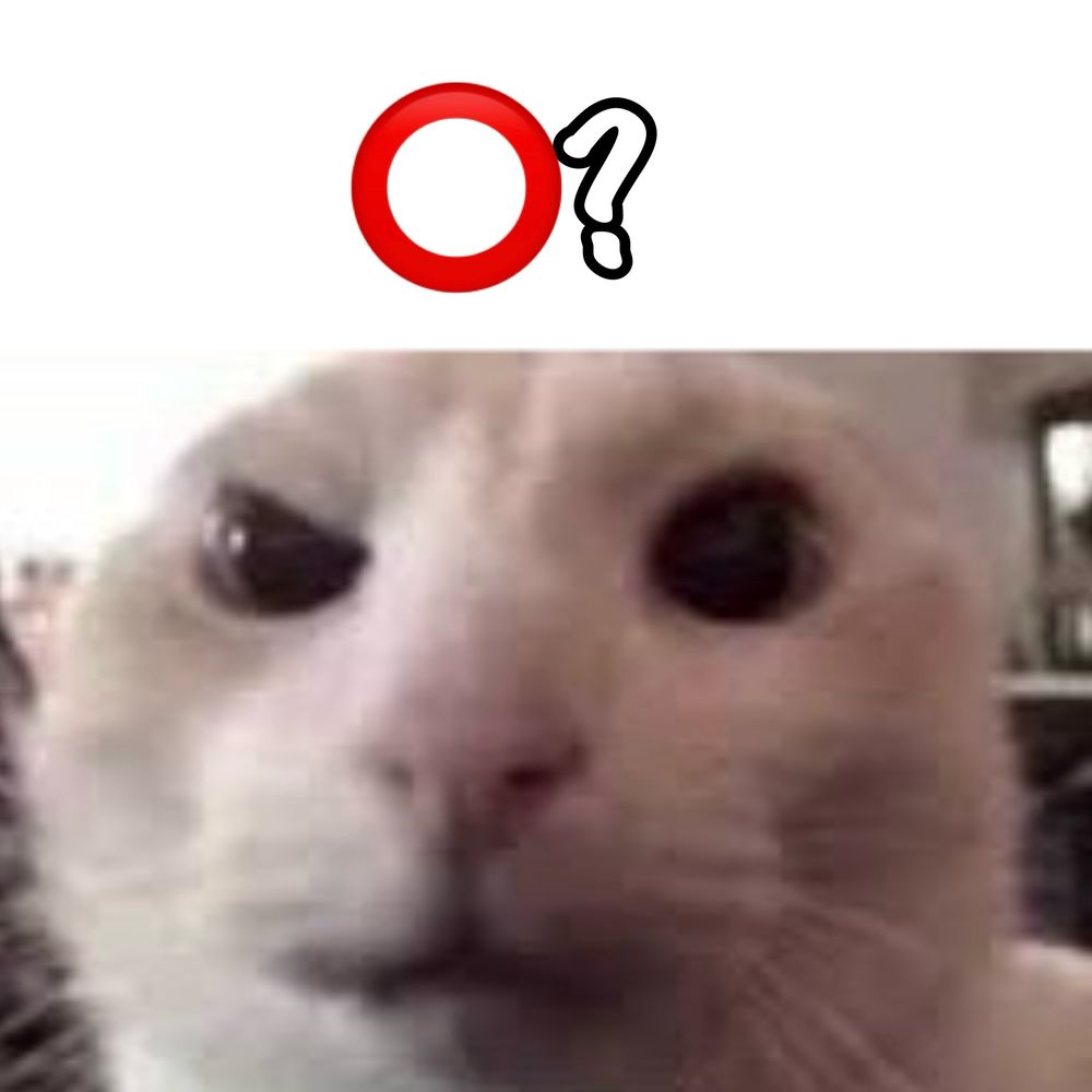 Cat with a raised eyebrow saying ⭕️?