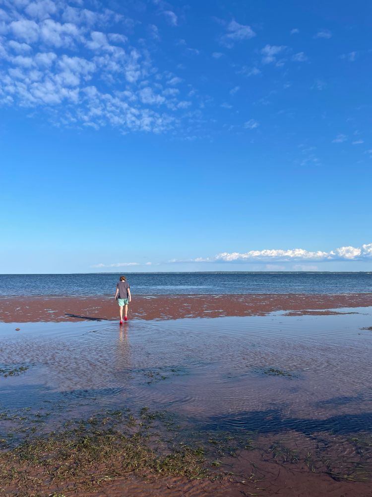 Boy walking away from the camera, on the beach. 