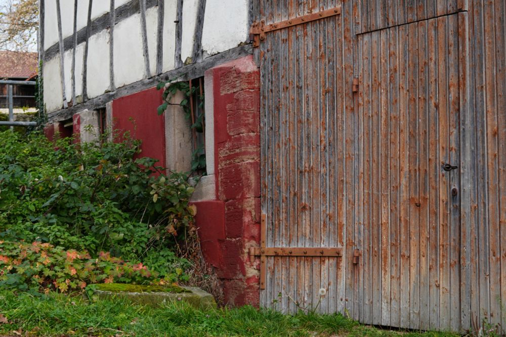 Autumn vibes. Images by @xipteras.org