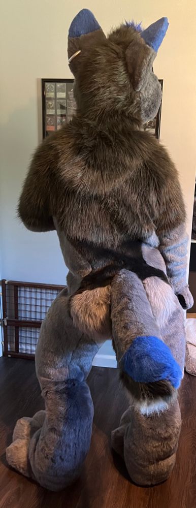 Gray and blue wolf fursuiter wagging his way into the weekend.