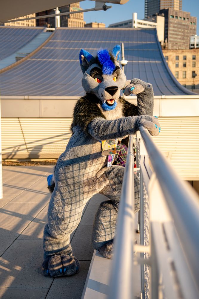 Blue and gray wolf fursuiter leaning against a railing on a terrace, it was really hot that day in the sun 