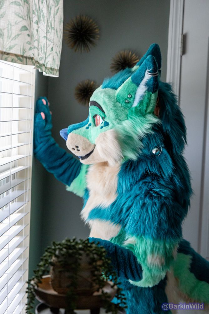 Green and cream colored fursuiter looking out a window