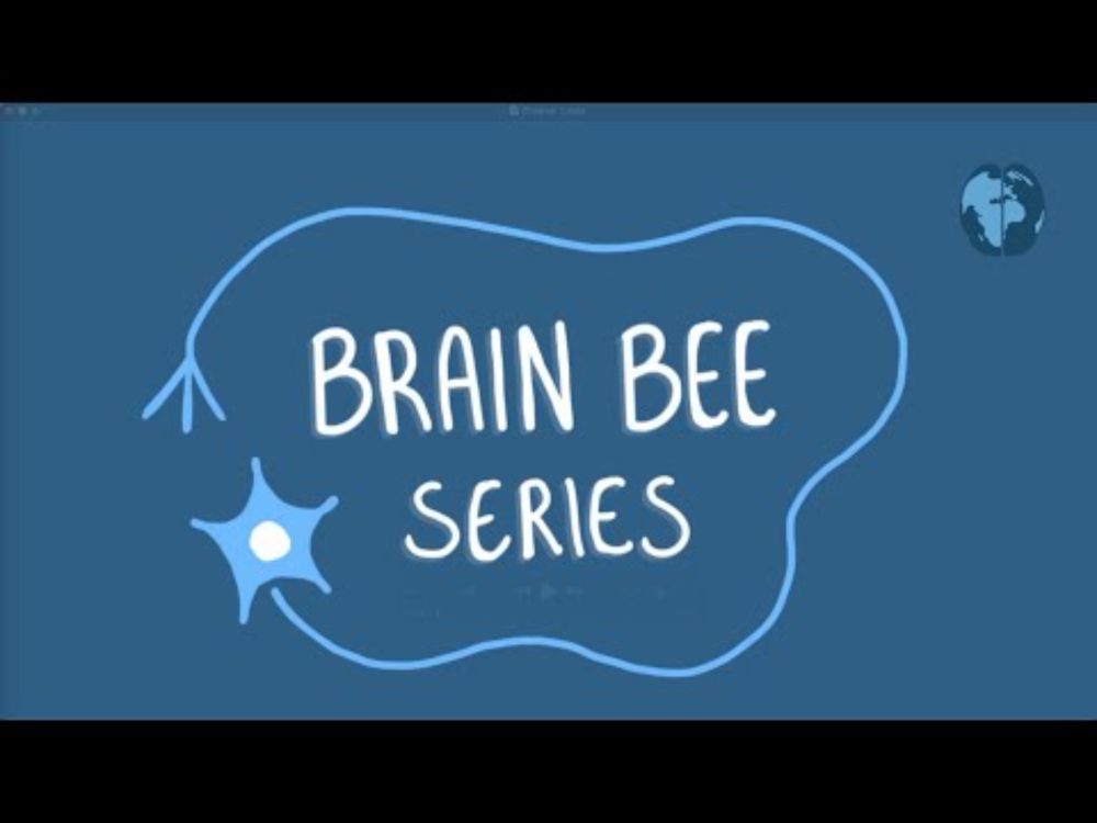 Chapter 1: The Brain Bee Series