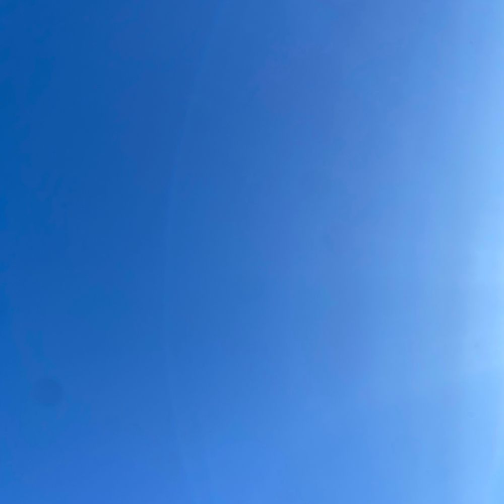 太陽の光で少し白みがかった青空
雲ひとつなくポカポカします