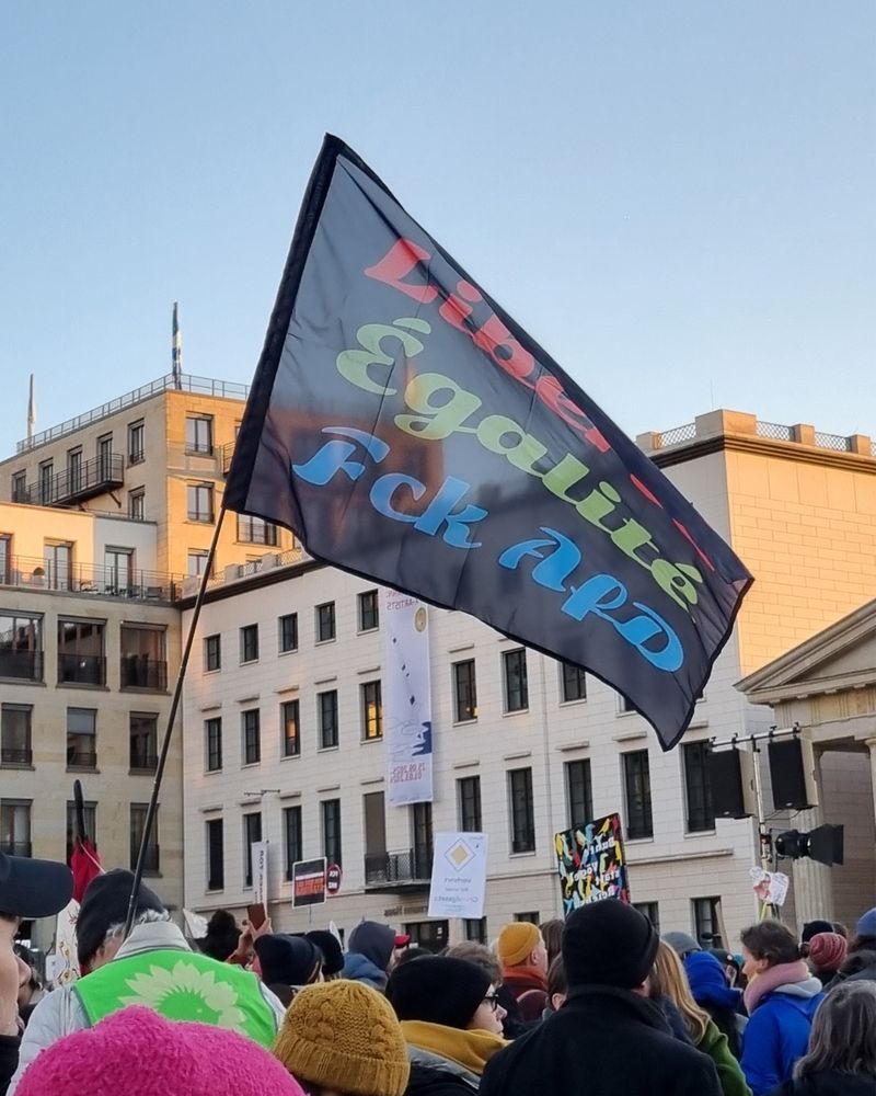 Demo Flagge "Liberté Egalitè Fck AfD"