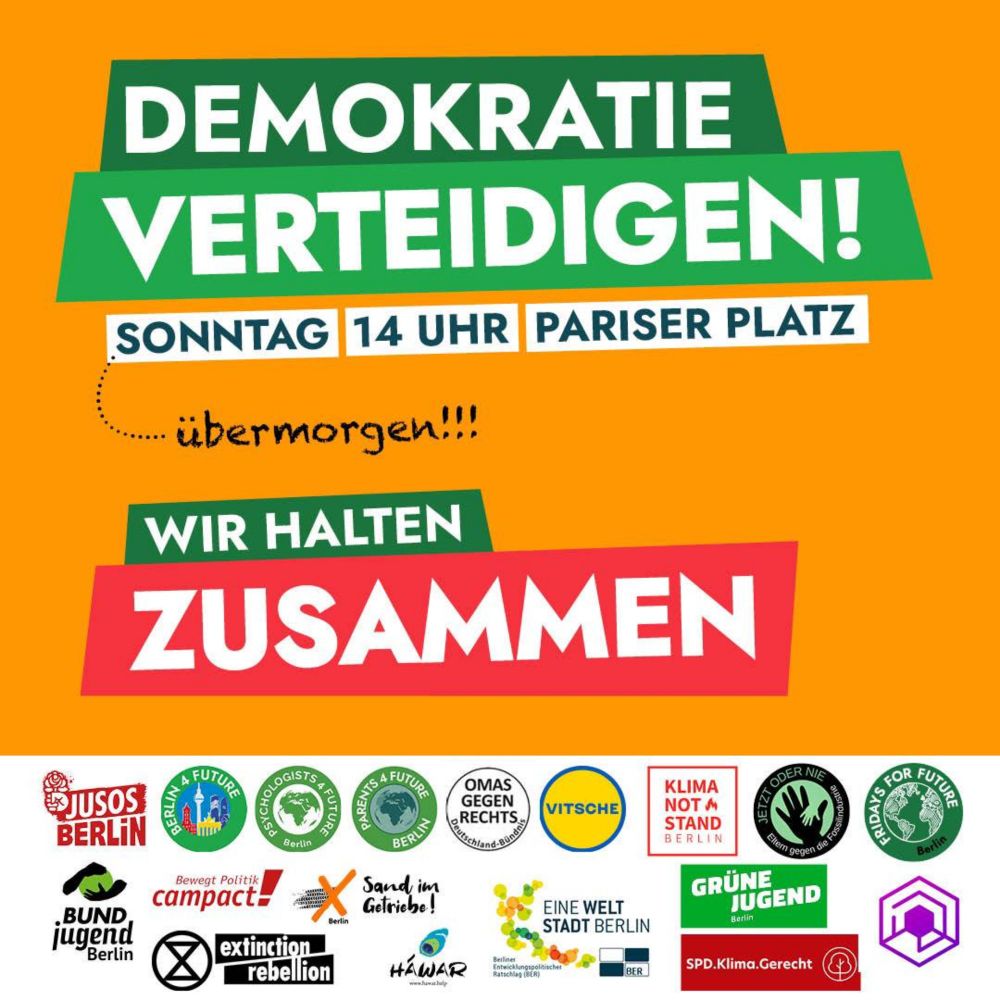 Demo gegen Rechts - Fridays for Future Berlin