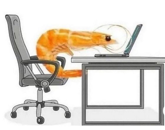 Fotomontage, ein Shrimp sitzt auf einem Bürostuhl an einem Laptop