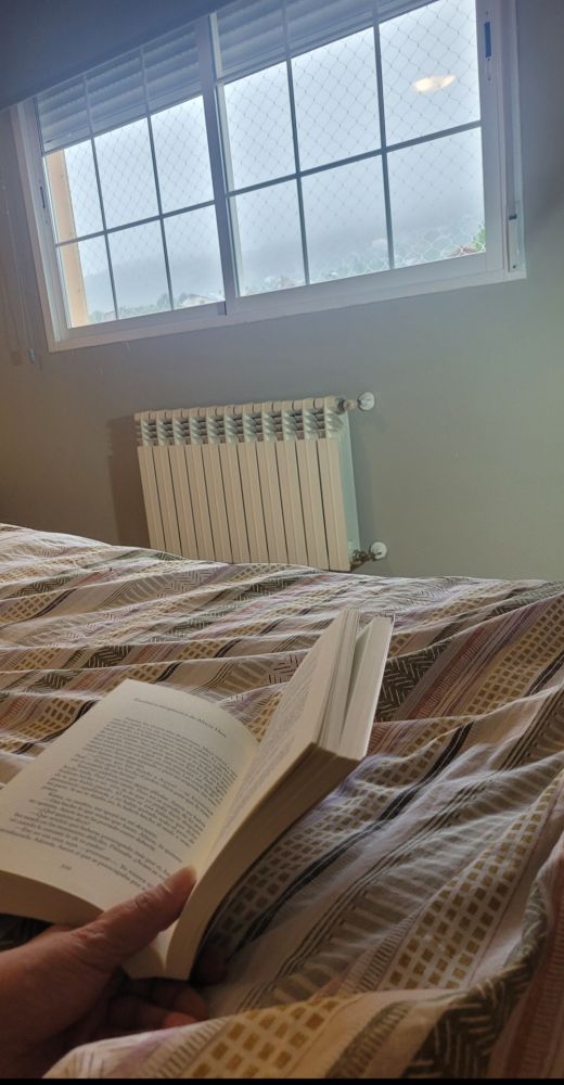 Foto de mi mano sosteniendo un libro. Estoy en la cama y al fondo hay una ventana. Fuera está muy nublado.