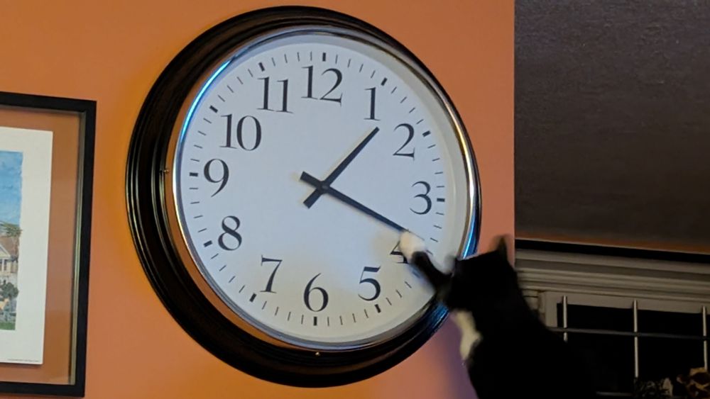 A cat poking at a big clock on a wall. The time is 1:19 am.