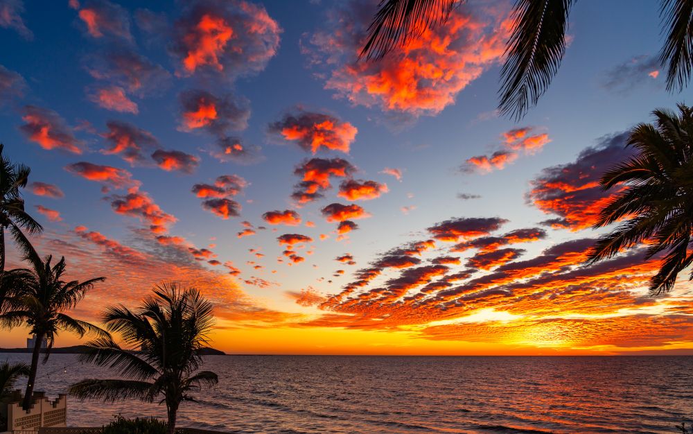 Dramatic tropical sunset over the ocean with scattered fiery clouds and silhouetted palm trees.

