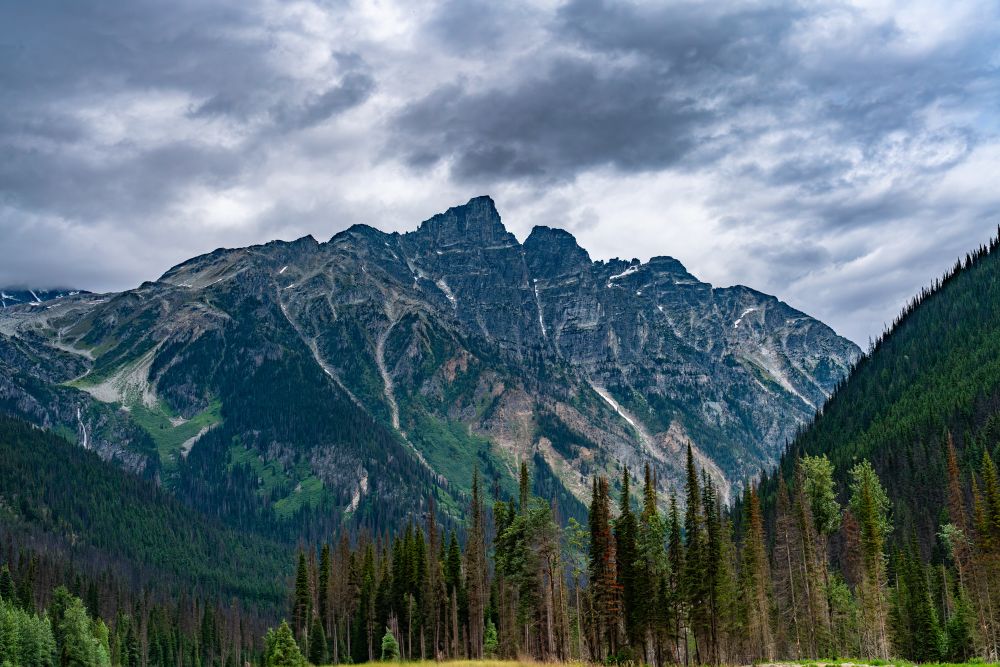 A rugged, forest-covered mountain range rises under a dramatic cloudy sky, with dense evergreen trees filling the valley in the foreground.