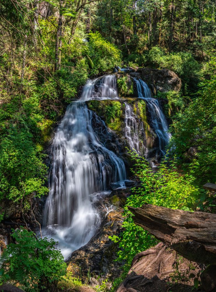 A lush forest waterfall cascading over moss-covered rocks in two main tiers, surrounded by vibrant green foliage and dappled sunlight filtering through the trees.