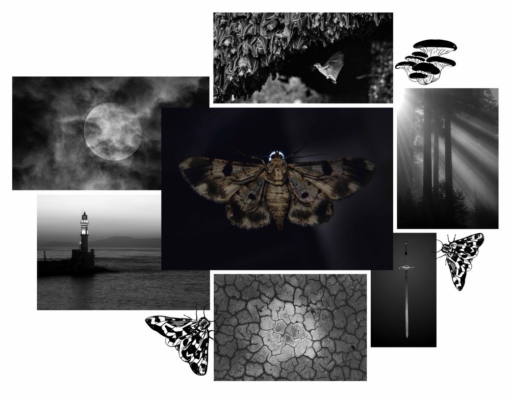 Image Credits: From Wikimedia Commons
Cleora Alienaria Moth (BilliBhai) • Cracked Earth (Patrick Hendry) • Full Moon in Fog (Dinkun Chen) • Sword (Rama) •  Samal Fruit Bats (Ranieljosecastaneda) • Lighthouse (Martin Belam) • The Redwood Sunbeams (National Park Service) https://creativecommons.org/licenses/by-sa/4.0
