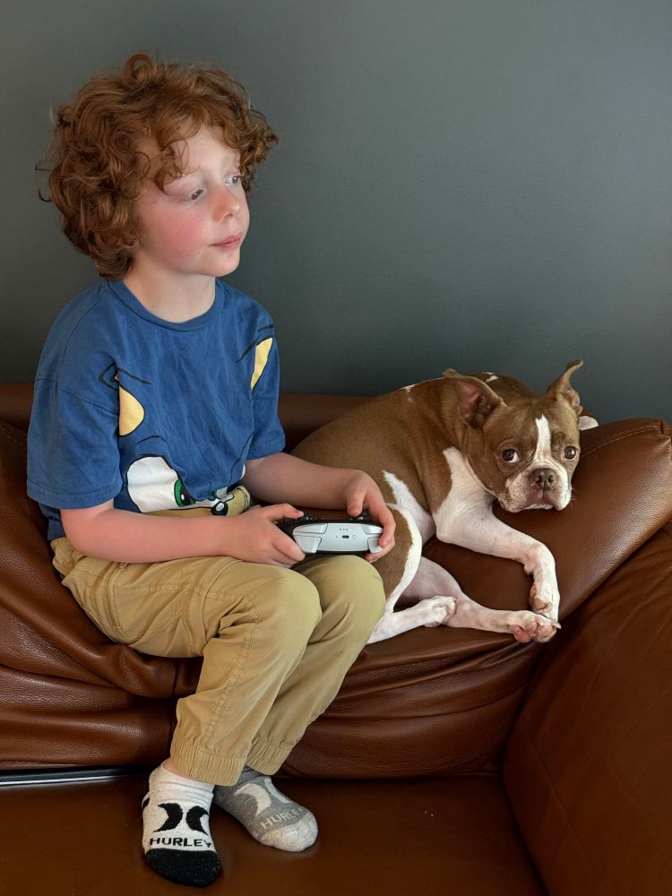 A red headed boy in a sonic t-shirt sits on the top of a brown leather couch. He is holding a game controller. A brown and white Boston terrier lays next to him. 