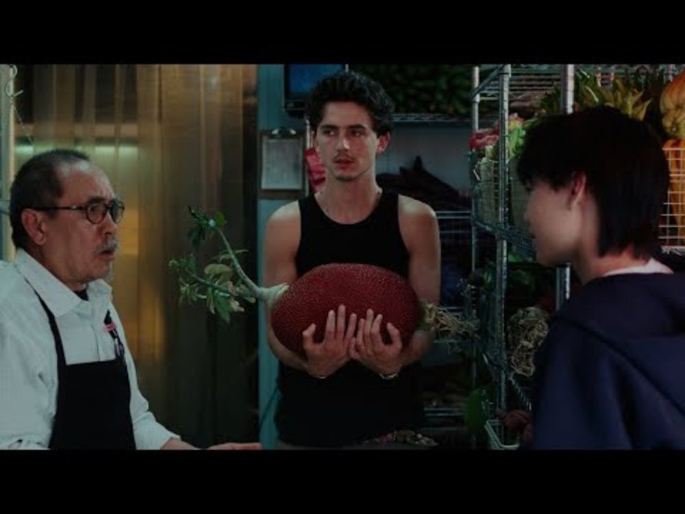 Timothée Chalamet for Cash App