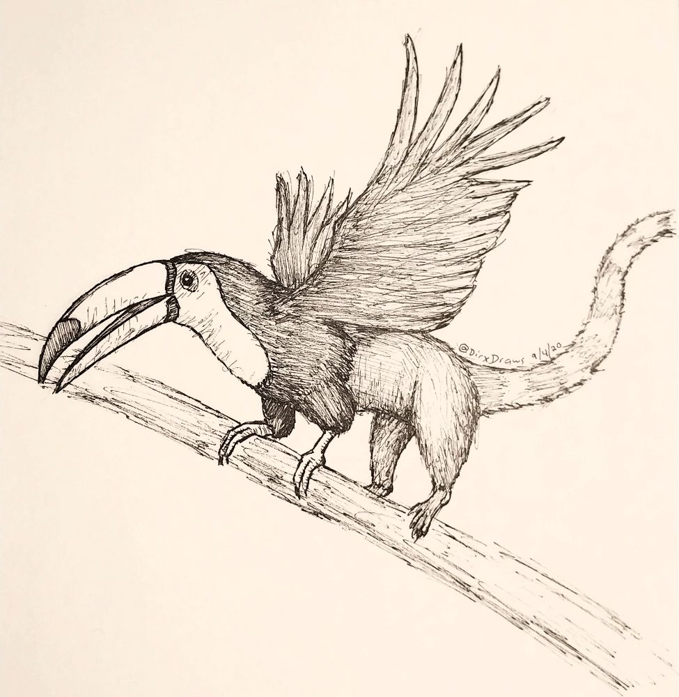 Black ink drawing of a gryphon, but instead of being a cross between an eagle and a lion, the gryphon has the front half of a toucan, and the back half of a coati. It is perched on a branch, beak slightly open, and wings upraised. Signed "DirxDraws" (old twitter handle) and dated 9/4/20.
