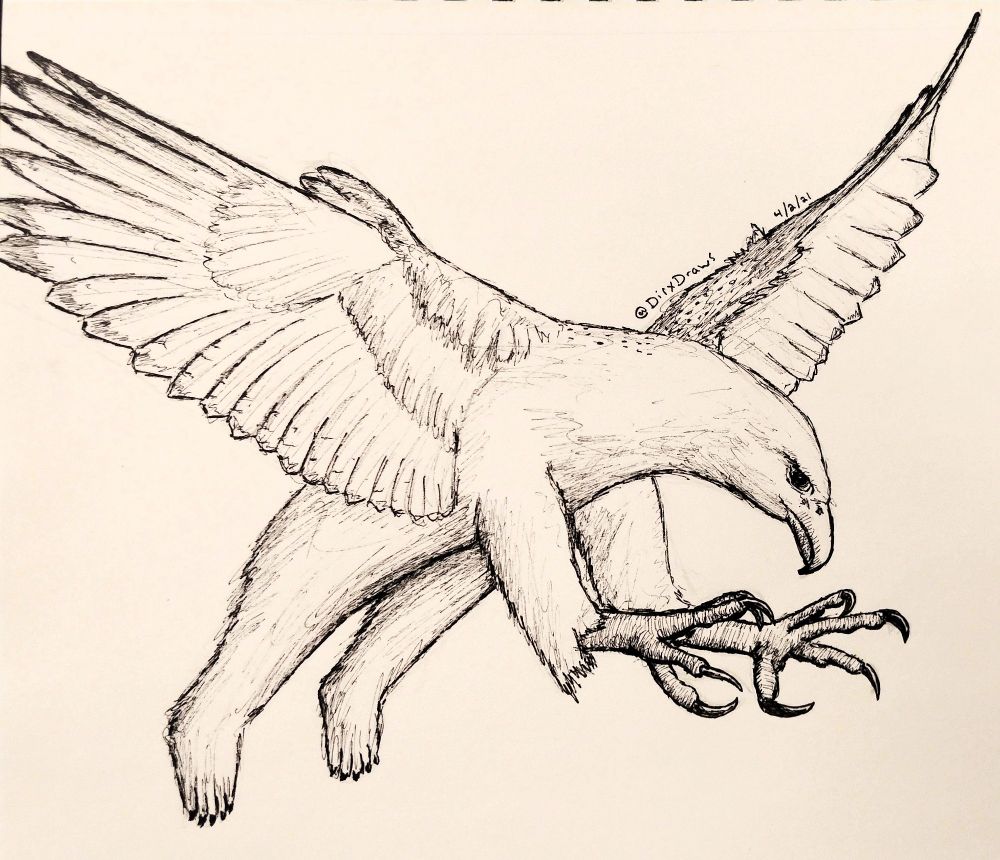 Black ink drawing of a gryphon, but instead of being a cross between an eagle and a lion, the gryphon has the front half of a great white gyrfalcon, and the back half of a polar bear. It swoops in midflight, forelegs outstretched ready to grasp prey with its fierce talons. Signed "DirxDraws" (old twitter handle) and dated 4/2/21.