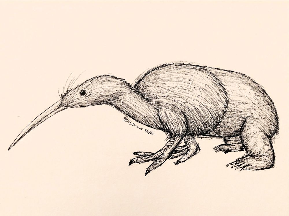 Black ink drawing of a gryphon, but instead of being a cross between an eagle and a lion, the gryphon has the front half of a kiwi, and the back half of a wombat. Wingless, it plods along the ground, stout and sturdy. Signed "DirxDraws" (old twitter handle) and dated 9/6/20.