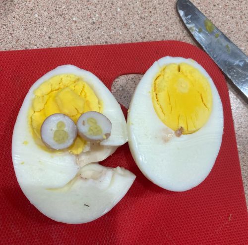 tiny 2nd egg has a double yolk
https://www.reddit.com/r/pics/comments/1oy7xua/oc_i_found_an_egg_inside_my_egg_the_inner_egg_was