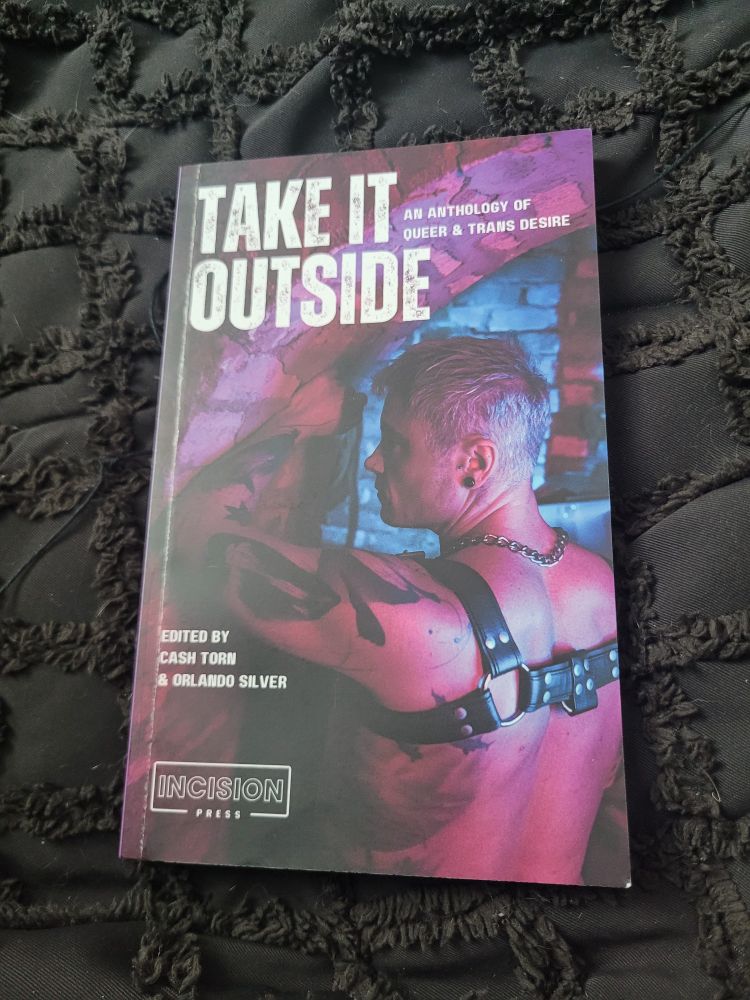 Cover of "Take It Outside: An Anthology of Queer and Trans Desire." Edited by Cash Torn and Orlando Silver. Published by Incision Press. It depicts the back of a queer person with silver hair, wearing a leather chest harness and a chain around their neck, their arm up against a brick arch.