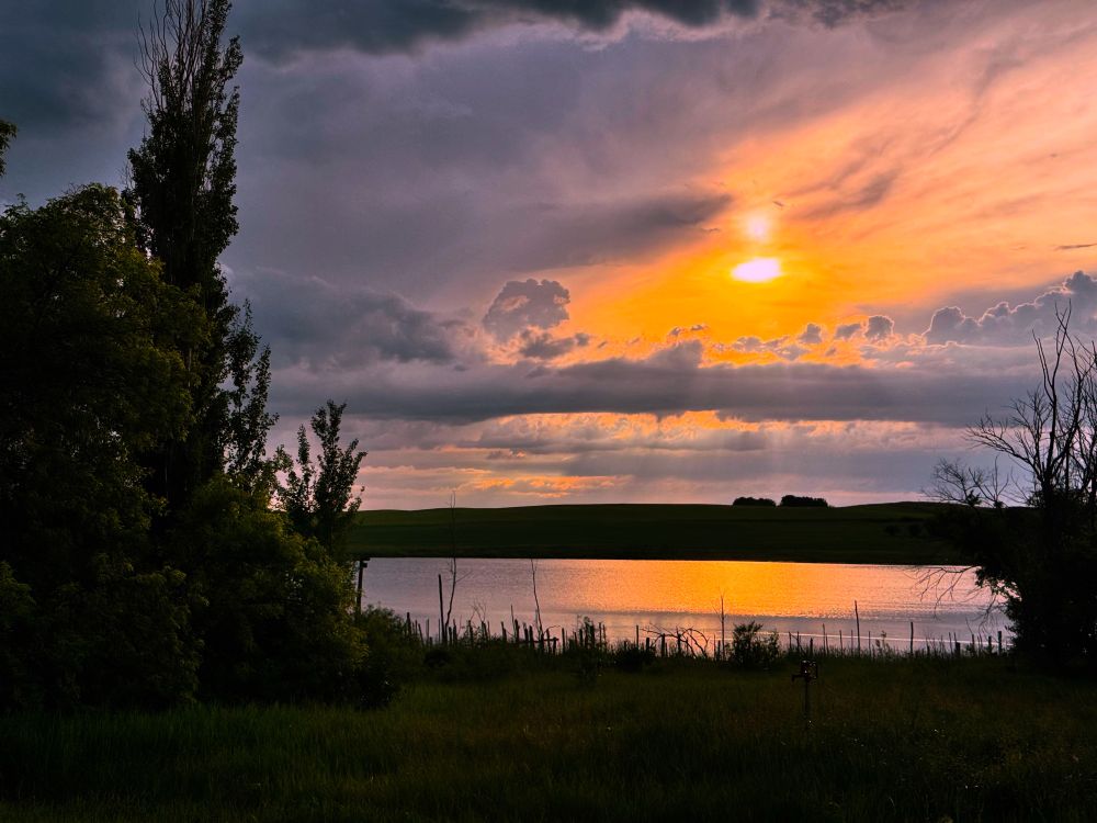 Overlooking some water, with a little copse of trees and the sun shining through the storm clouds. 