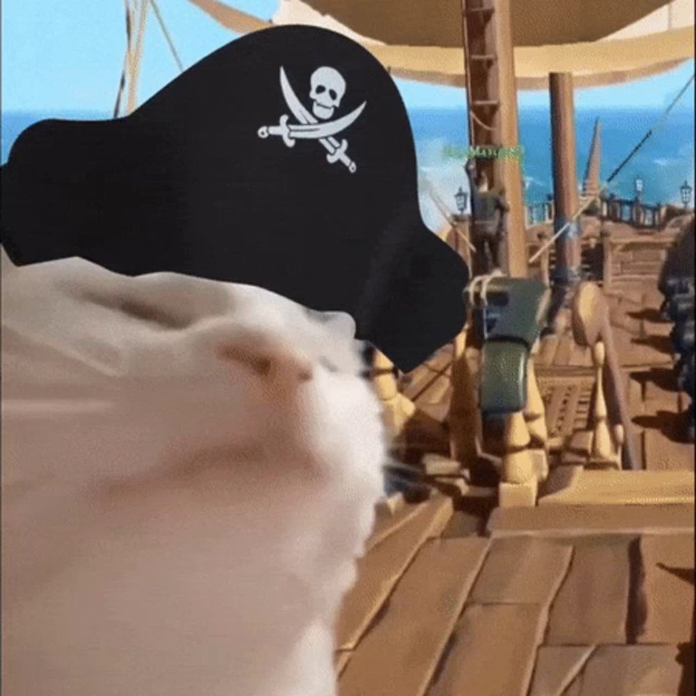 a pirate hat with a skull and crossbones and two swords on it