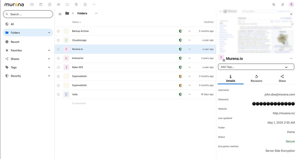 Murena Workspace Password manager showing different accounts with hidden passwords