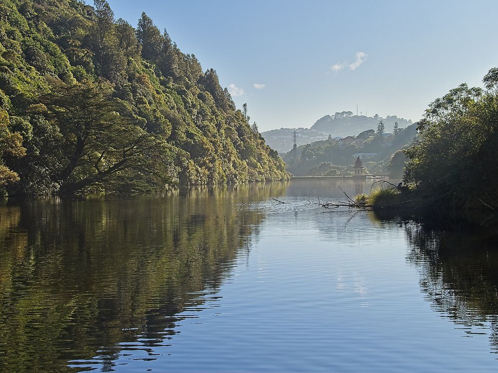View from the top of the lower resevoir, looking down towards the pump house. Te Ahumairangi hill visible in the background.