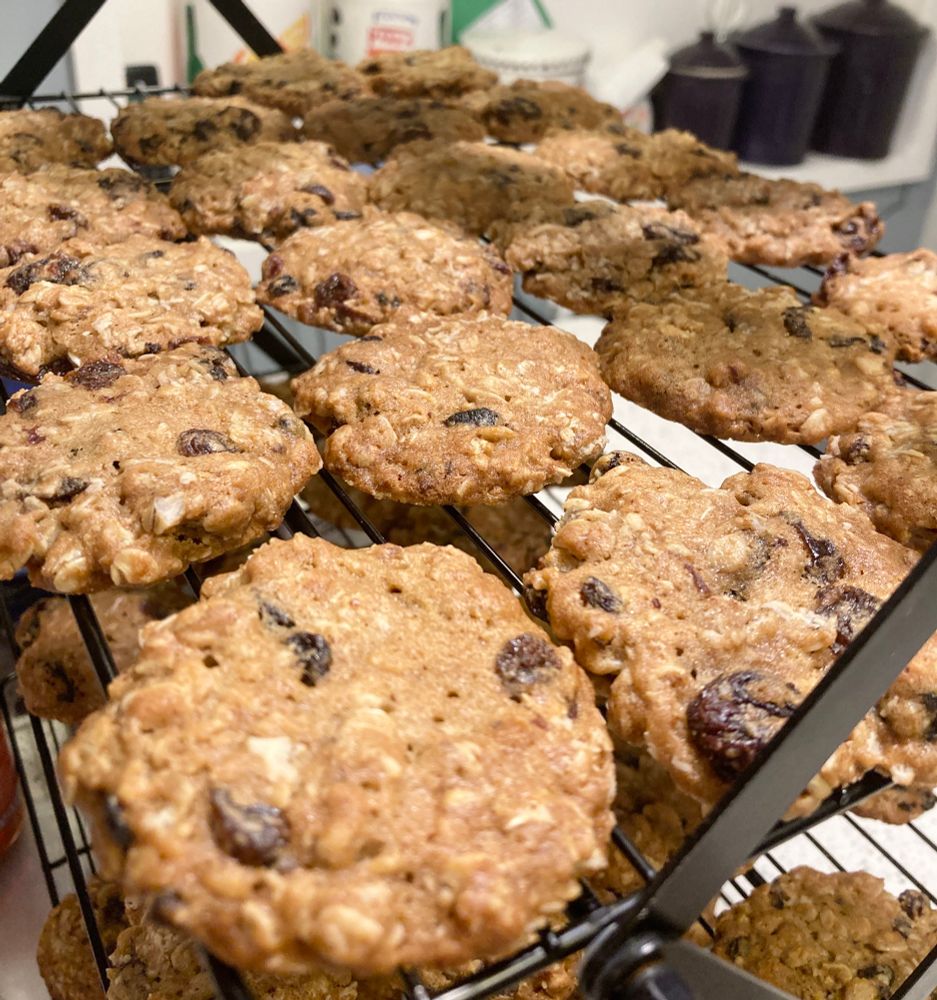 Stackable wire cooling racks with lots of oatmeal raisin cookies on them