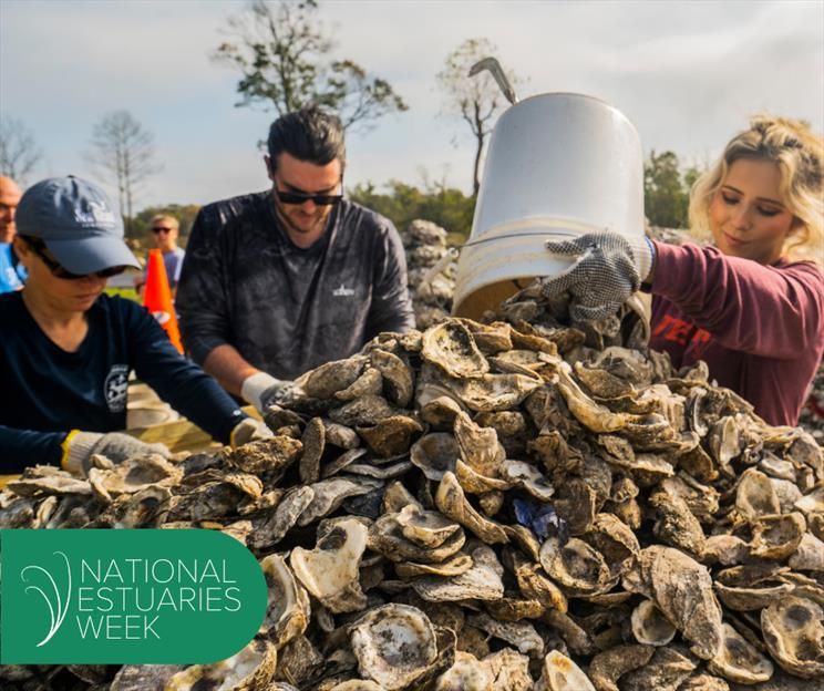 Three people sorting a pile of oyster shells