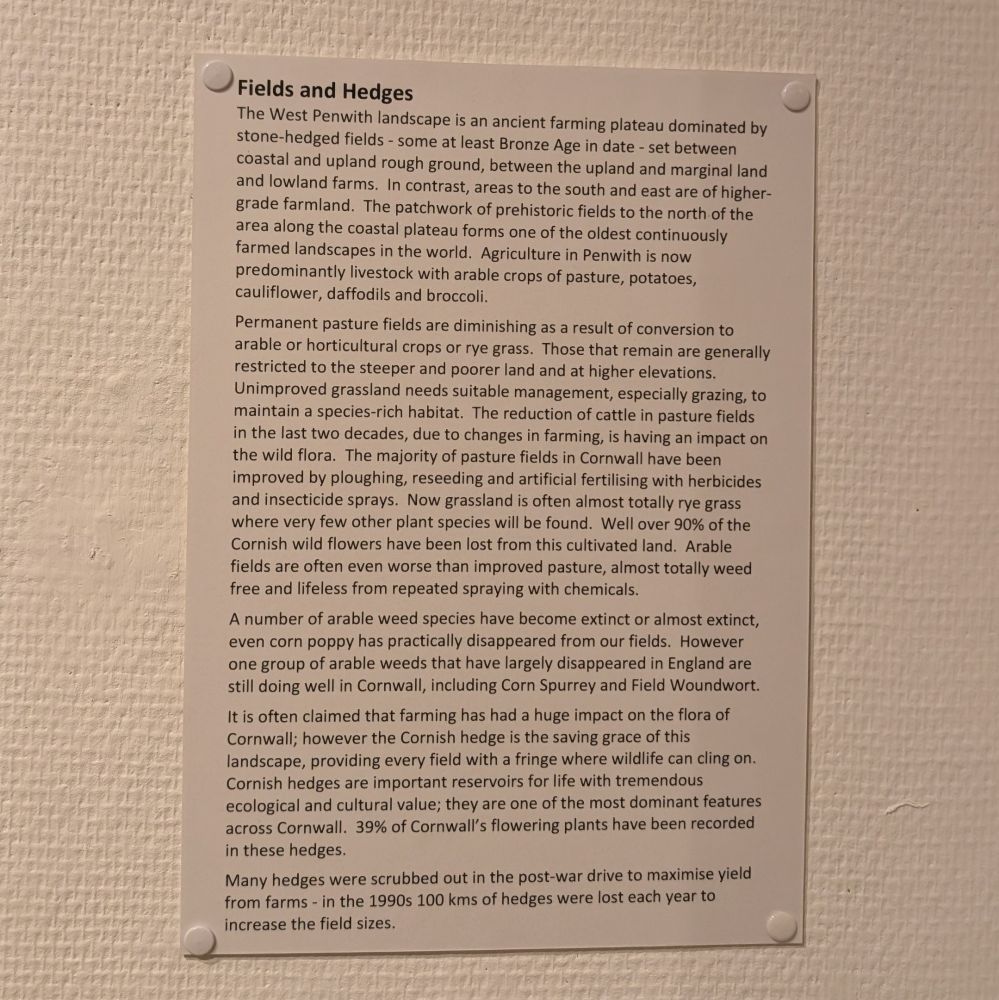 A written description about featured artwork that displays plantlife in fields in hedges 