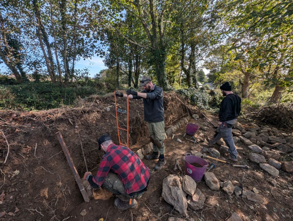 An old Cornish Field Hedge being repaired by keen hedging trainees.  It was a beautiful sunny day and we hedged away for two days in the shade of old sycamores growing along the hedge.