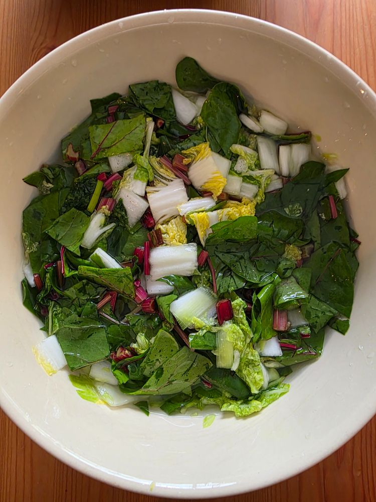 Coarsely chopped napa cabbage, swiss chard, and scallions in a strong brine, inside a cream bowl on a pine table. 