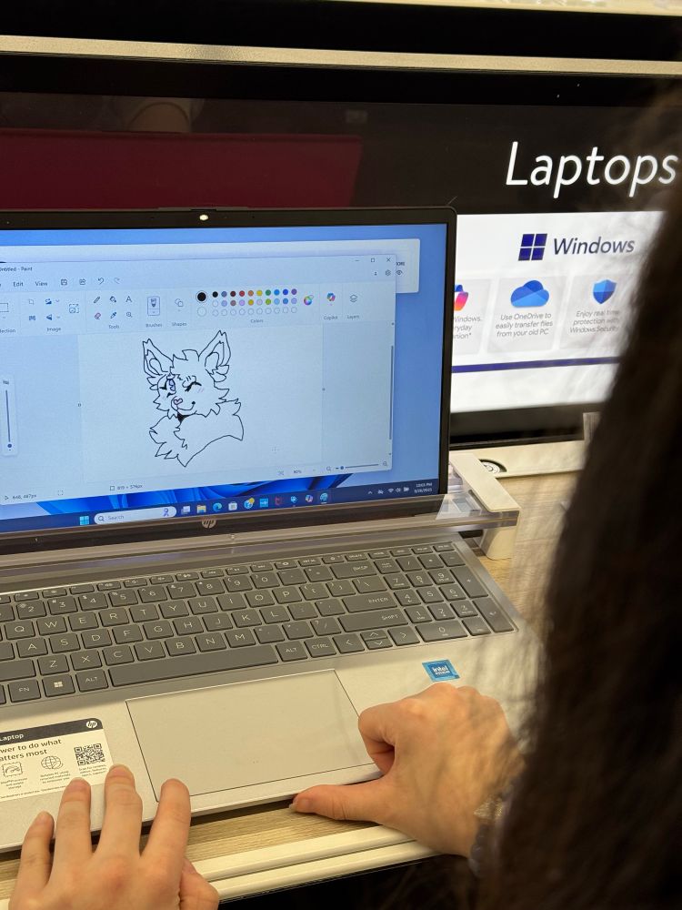 An over the shoulder photo of someone drawing (furry) art in Microsoft paint on a display computer at Walmart.
