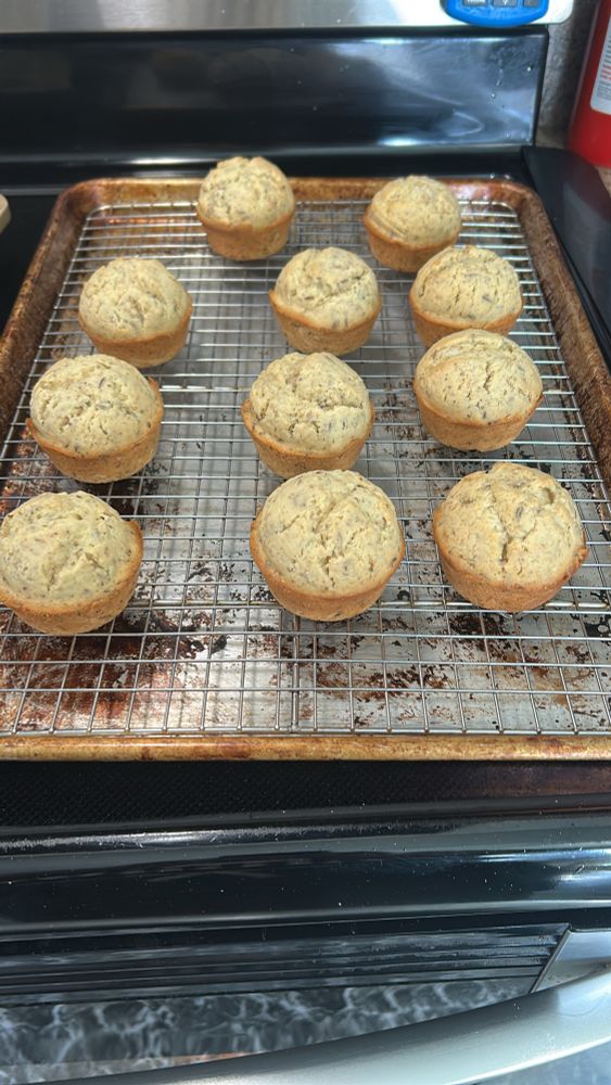 Photo of 11 seed cupcakes, which are essentially pound cakes with caraway seeds 