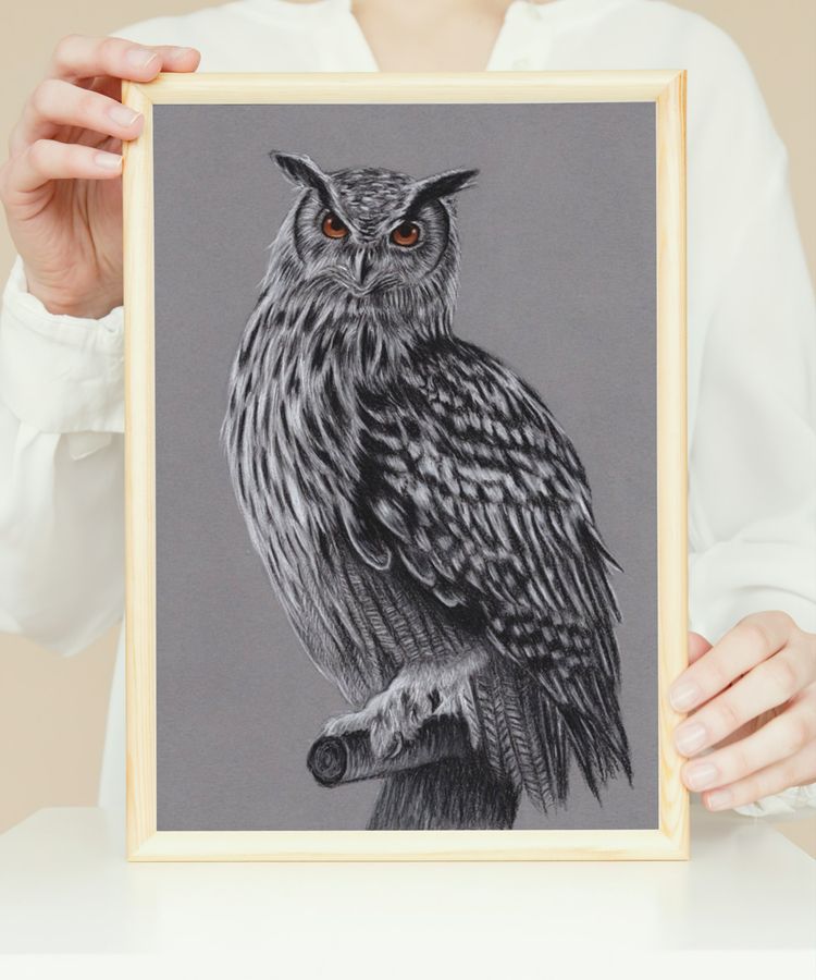 owl drawing